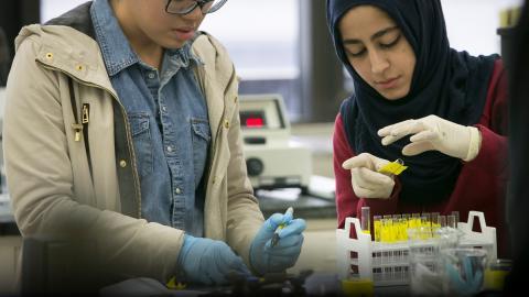 CCNY推出加速学士学位后医学预科证书课程